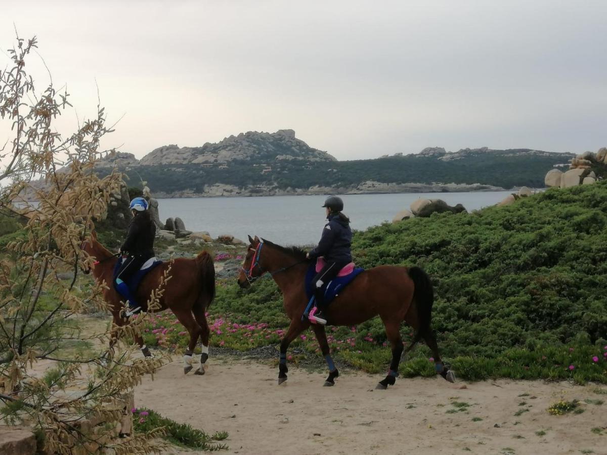 Casa Baia Santa Reparata - Santa Teresa Di Gallura Iun Q1712 Екстер'єр фото
